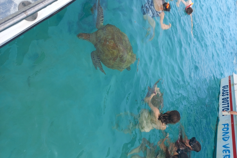 Maurice : Plongée en apnée avec les tortues La vedette Le Transporteur