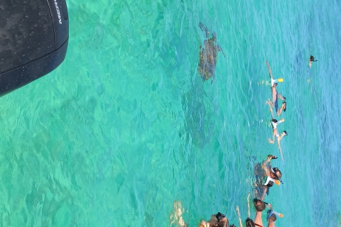 Mauritius: Schnorcheln mit Schildkröten Le Transporteur speedboat
