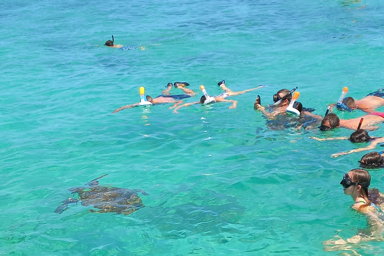 Maurice : Plongée en apnée avec les tortues La vedette Le Transporteur