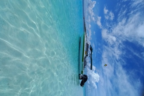 Mauritius: snorkelen met schildpadden Speedboot Le Transporteur