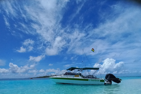 Mauritius: snorkelen met schildpadden Speedboot Le Transporteur