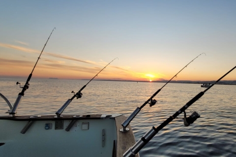 Estepona : Tour de pêche StartFisher 1060