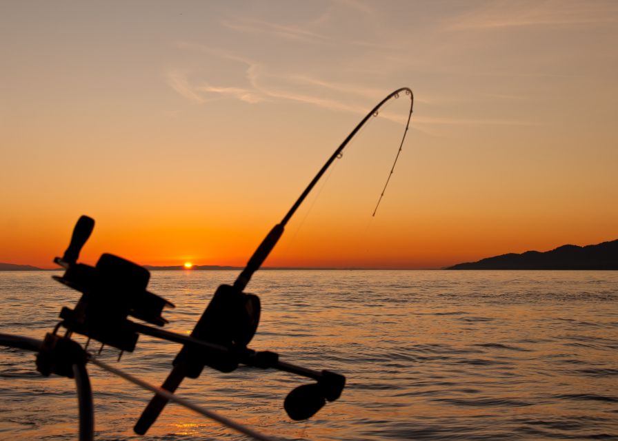 Estepona: Fishing Tour StartFisher 1060