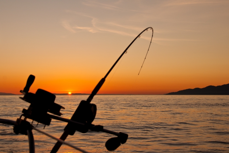 Estepona: Fishing Tour StartFisher 1060