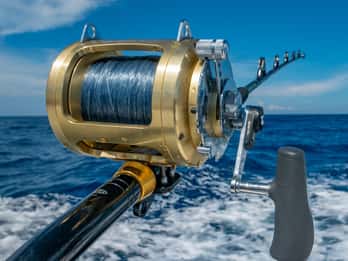 Estepona: Fisketur StartFisher 1060