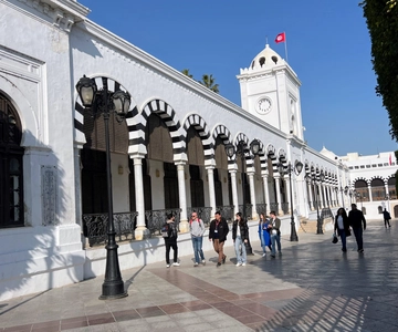 Tunis: Medina, Carthage, Sidi Bou Said, Bardo Private Tour