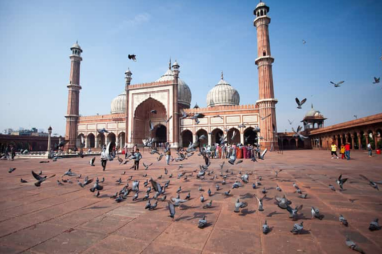 Private Delhi Sightseeing Tour van een hele dag met de auto