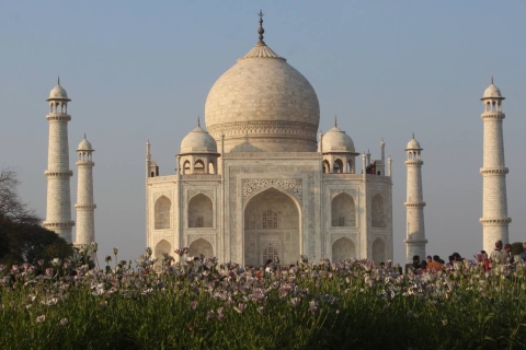 Vanuit New Delhi: 5-daagse Gouden Driehoek Trip met Ranthambore