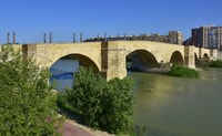 Zaragoza - Historic Walking Tour - Housity