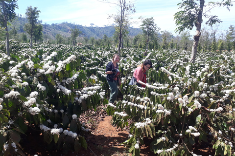 Easy Rider - Motorradtour - Dalat Countryside TagestourEasy Rider - Motorrad Dalat Landleben Tagestour