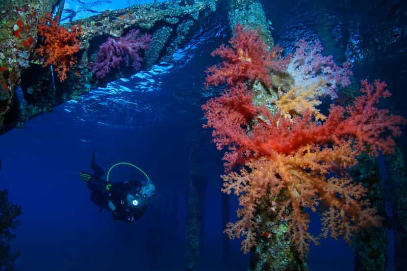 Guided Scuba Diving Adventure in Aqaba GetYourGuide