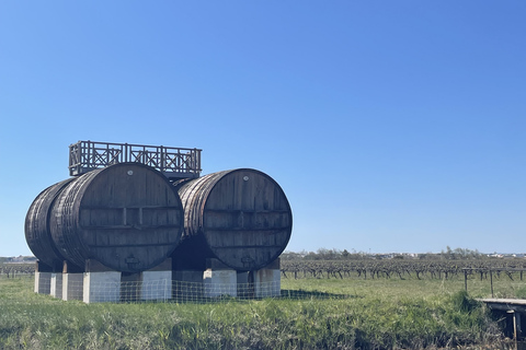 Montpellier : Gesamttagung Sable de Camargue