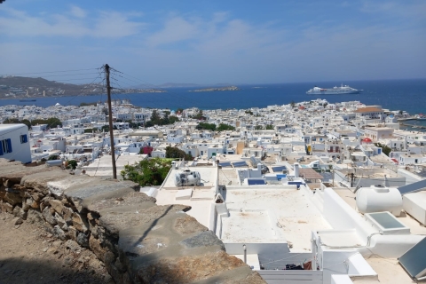 Depuis Athènes : excursion à Myconos en ferryMyconos : excursion d'une journée entière et prise en charge