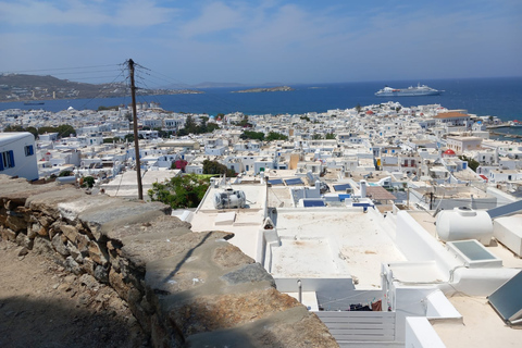 Ab Athen: Tagestour nach Mykonos mit der FähreTagestour nach Mykonos mit Abholung an Treffpunkten