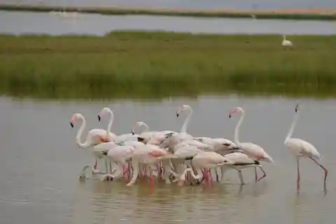 Privé gamedrives in Amboseli