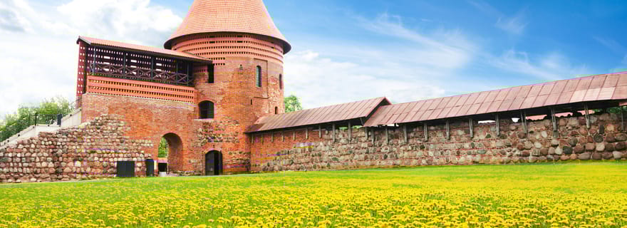 Kaunas : Visite privée personnalisée avec un guide local