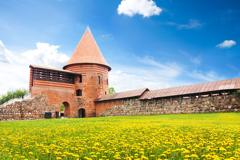 Kaunas: Private custom tour with a local guide 8 Hours Walking Tour