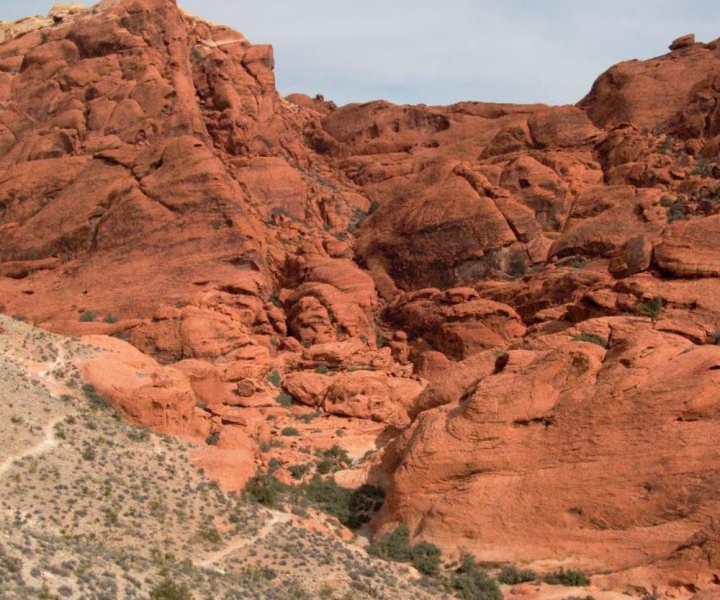 Red Rock Canyon - Visite audioguidée du canyon de Red Rock