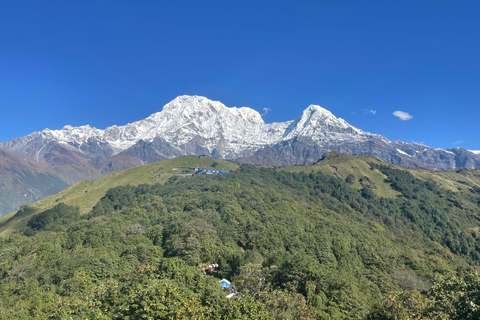 Mardi Himal Trek