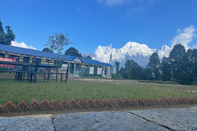 Mardi Himal Trek