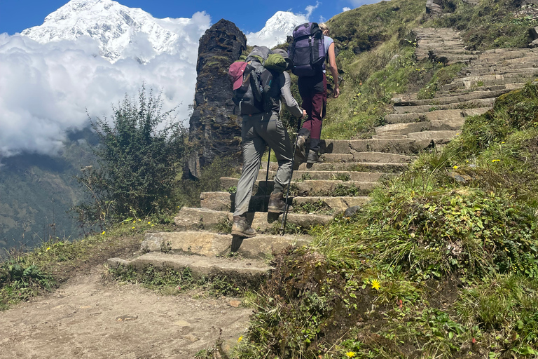 Mardi Himal Trek