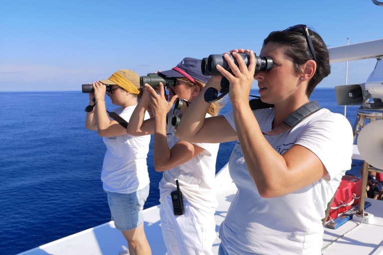 Varazze: Excursión guiada de observación de cetáceos en el Santuario de Pelagos