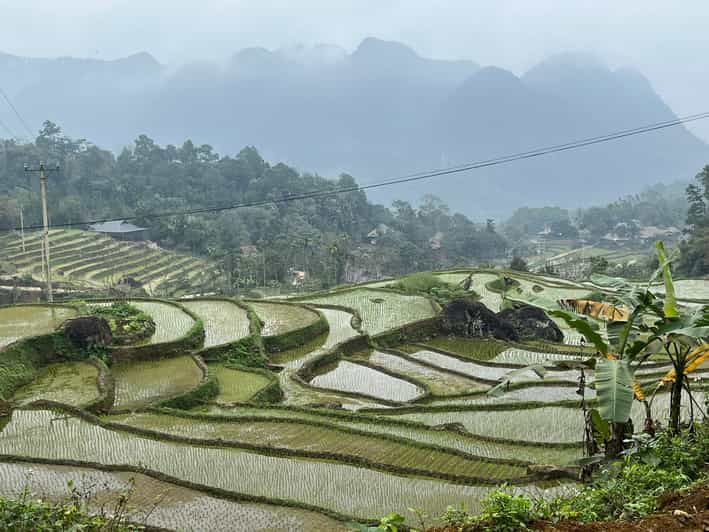 easy rider motorbike