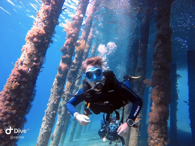 Pivate duiken in de Rode Zee van Aqaba