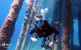 Pivate scuba diving in the Red Sea of Aqaba