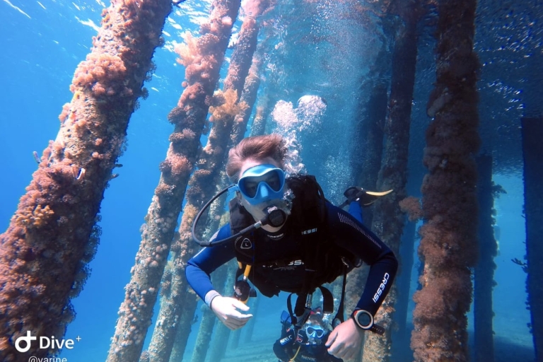 Nurkowanie z akwalungiem w Morzu Czerwonym w Akabie
