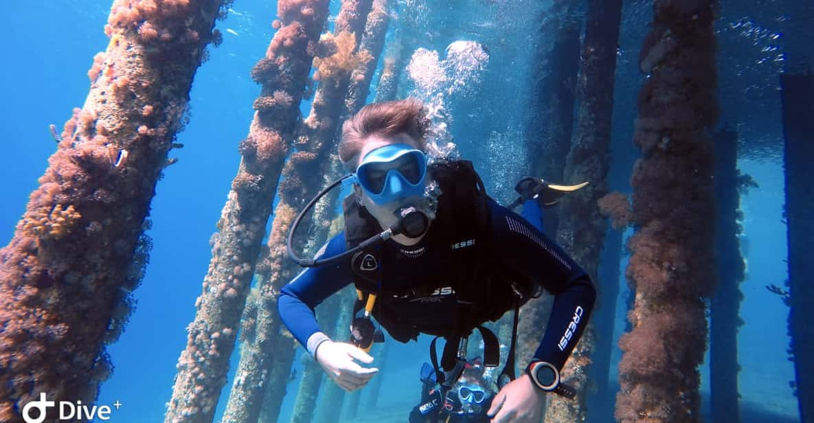 Pivate Scuba Diving In The Red Sea Of Aqaba GetYourGuide