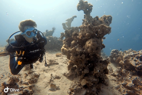 Pivate scuba diving in the Red Sea of Aqaba