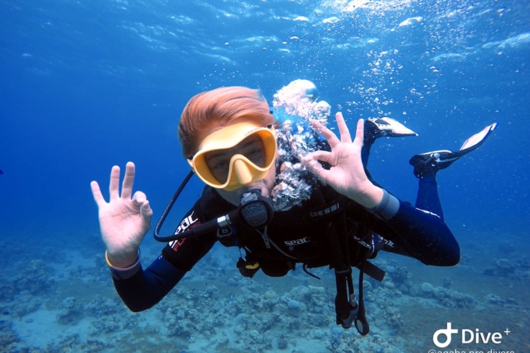 Pivotez la plongée sous-marine dans la mer Rouge d'Aqaba