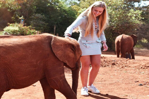 Visit to David Sheldrick Elephant Orphanage