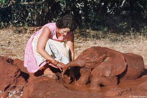 Visit to David Sheldrick Elephant Orphanage