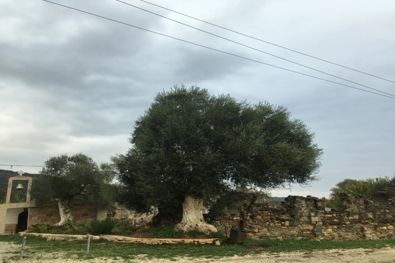 Klöster in Chania: Eine private Tour zur griechischen Orthodoxie
