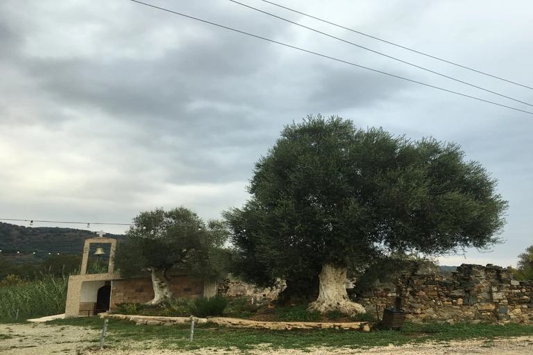 Chania Monasteries Private Tour: A Greek Orthodoxy TributeChania Monasteries: A private tour to Greek Orthodoxy