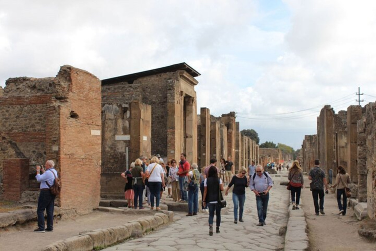 From Naples: Amalfi Coast, Sorrento, and Pompeii TourRamada by Wyndham Naples Meeting Point