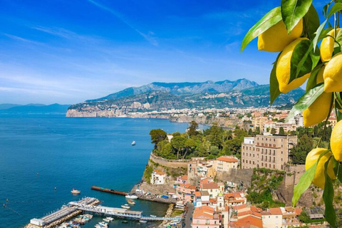 From Naples: Amalfi Coast, Sorrento, and Pompeii TourRamada by Wyndham Naples Meeting Point