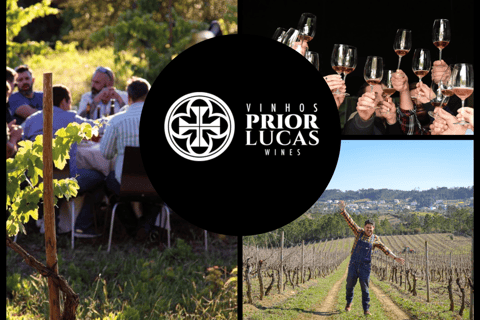 Coimbra: Prior Lucas Winery and Vineyard Visit with Tastings