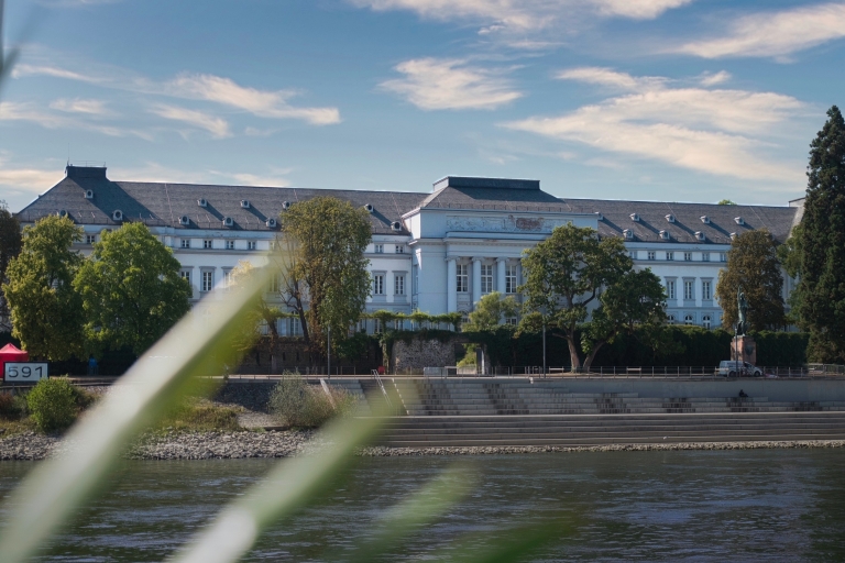 Koblenz: Kasteelboottocht in het Boven Midden-Rijndal
