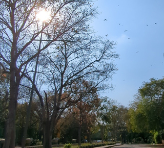 Yoga in Delhi