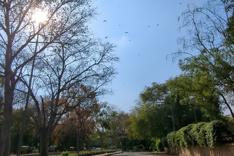 Délhi: Ioga no Lodhi GardenDelhi: Yoga no Lodhi Garden