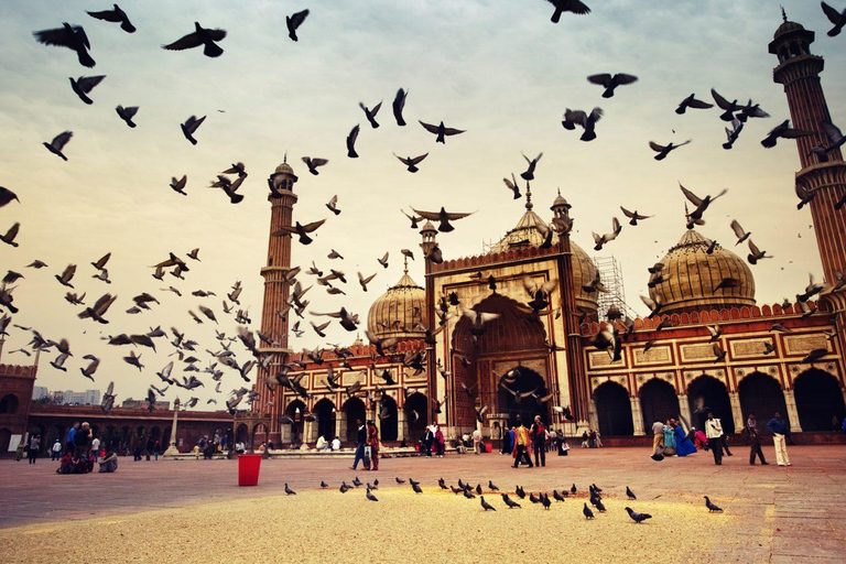 جولة خاصة في مدينة دلهي: مدينة دلهي القديمة ومدينة نيودلهي