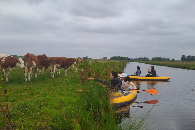 Amsterdã: Tour guiado de bicicleta e caiaque pelo campo