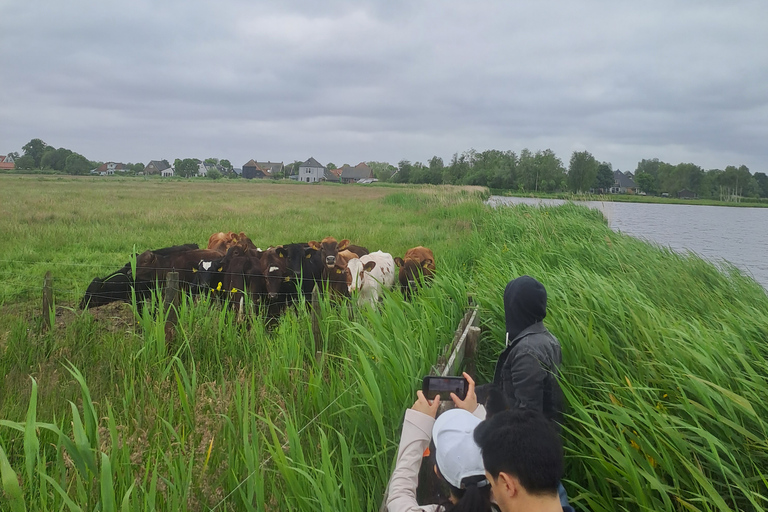 Amsterdã: Tour guiado de bicicleta e caiaque pelo campo