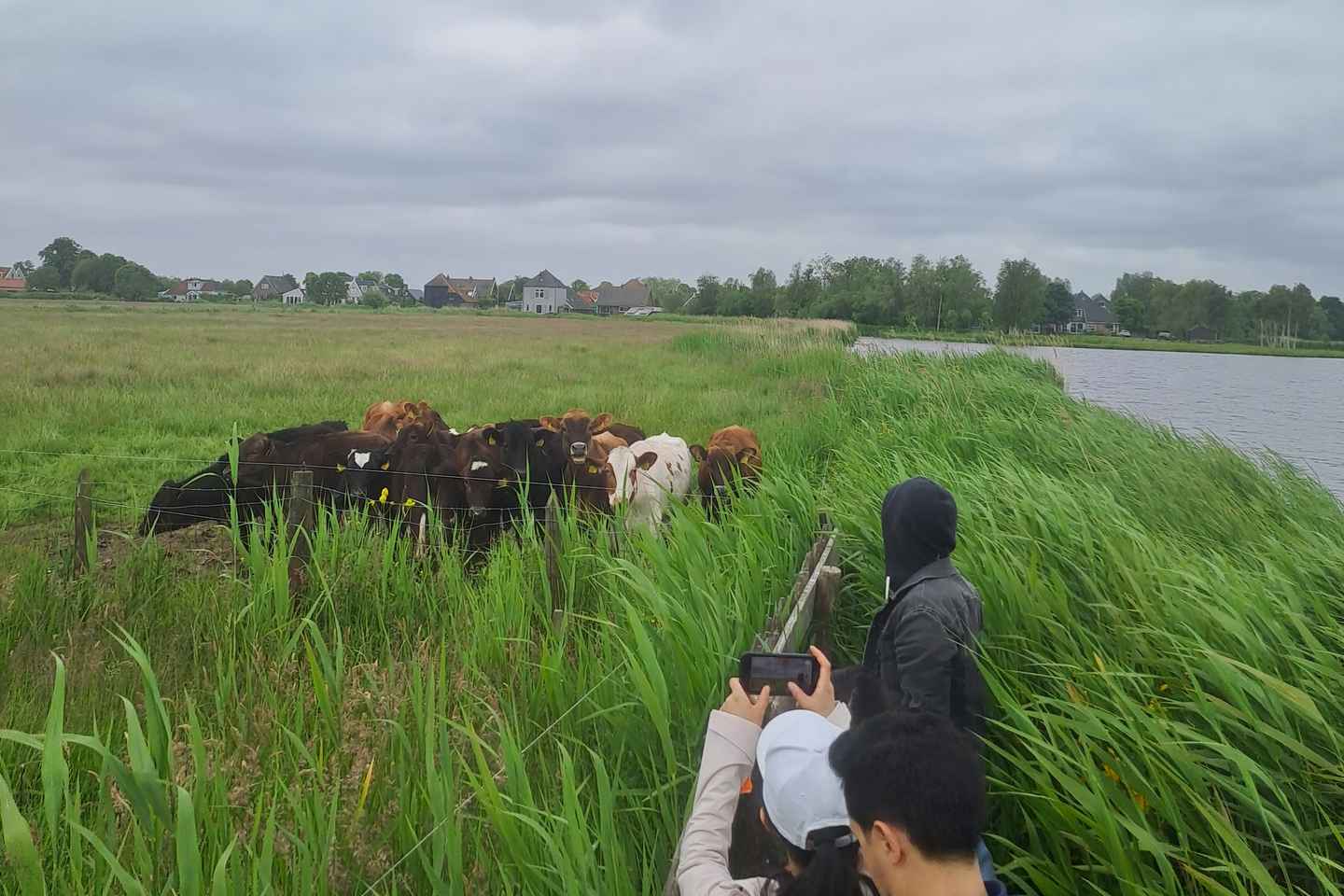 암스테르담 전원 자전거 카약 투어
