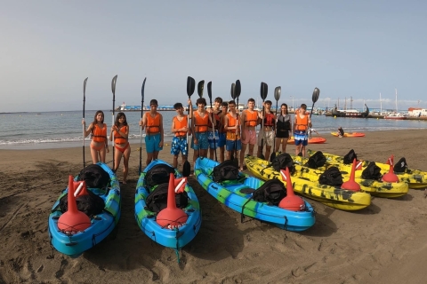 Tenerife : Kayak and snorkel in dolphin and turtle area Guided tour