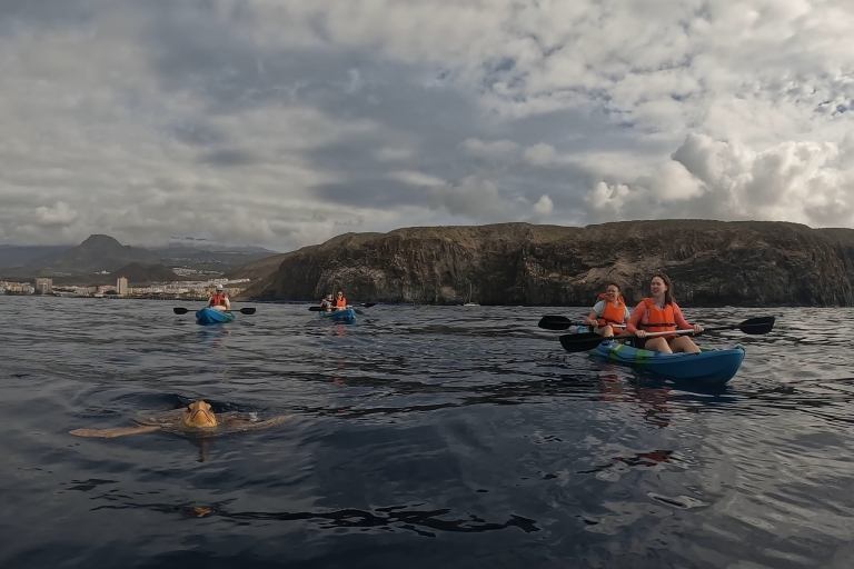 Tenerife : Kayak y snorkel en zona de delfines y tortugasVisita guiada