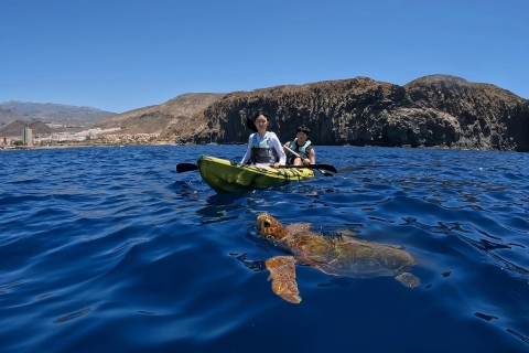 Teneryfa: Kajak i nurkowanie w okolicy delfinów i żółwiWycieczka z przewodnikiem